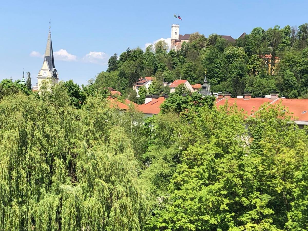 Castle View Studio Любляна Екстериор снимка